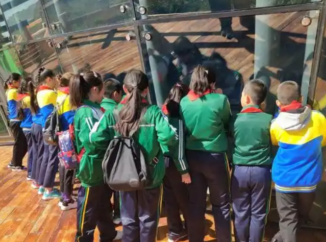 科技馆为校园注入了新的生机也为学生带来了新的机遇 科技馆为校园注入了新的生机也为学生带来了新的机遇